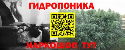 стафф Усть-Джегута